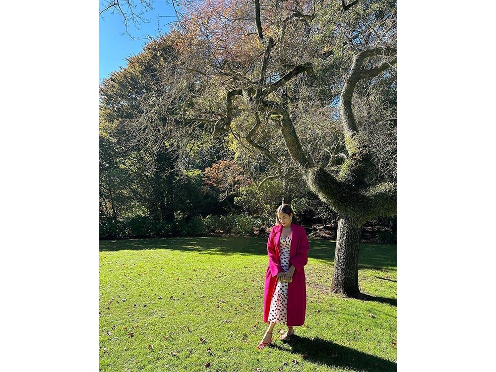 Bushflowers and vanilla