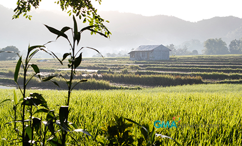Behind the Scenes at the Making of the 'Walang Imposible Sa Pasko ng Kapuso: 'Bituin'