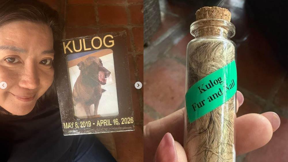 Kulog