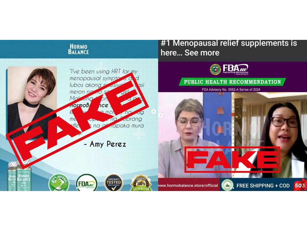 Amy fake