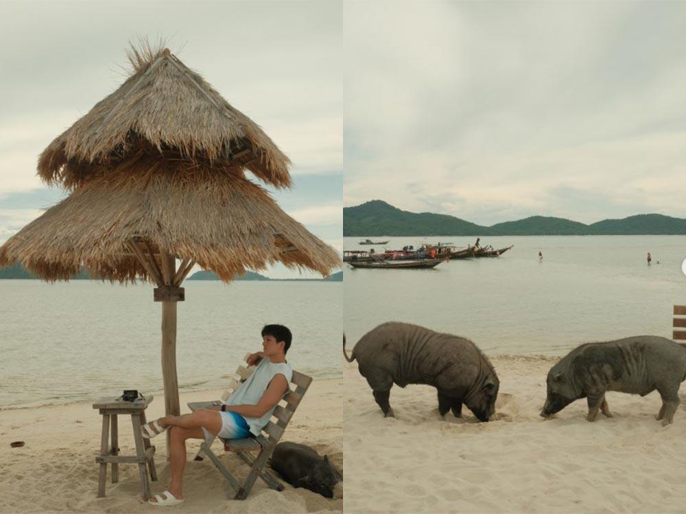 Prince Samui