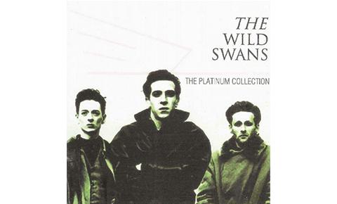 The Wild Swans