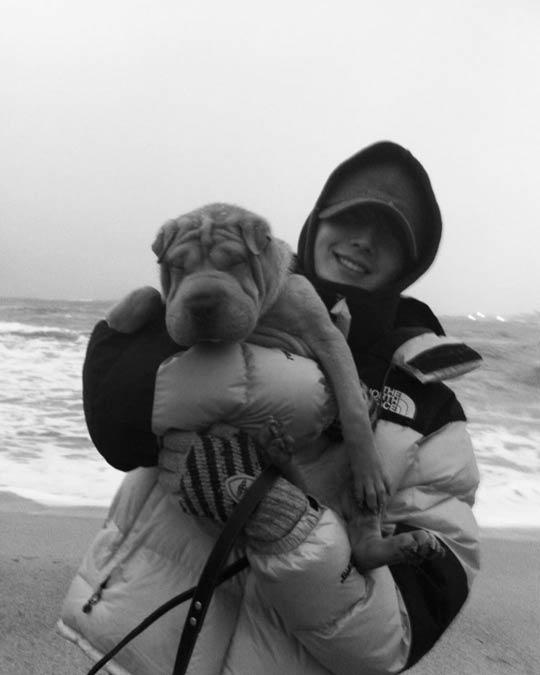 Dog 