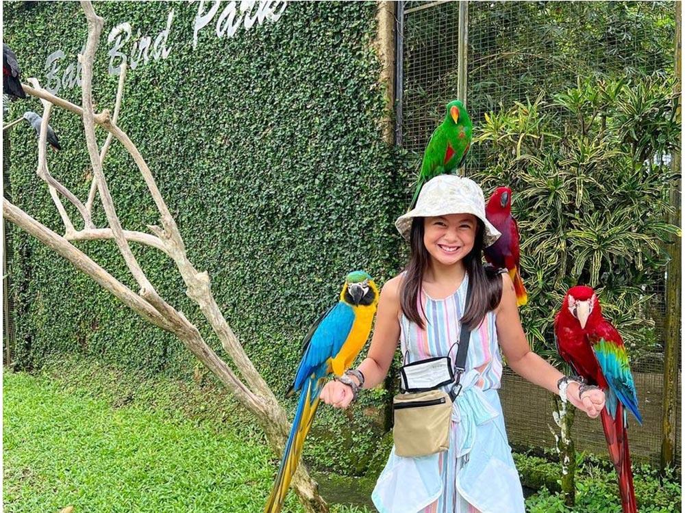 Gummy with the birds