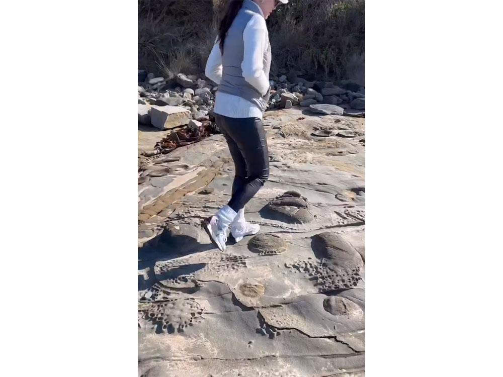 Great Ocean adventure