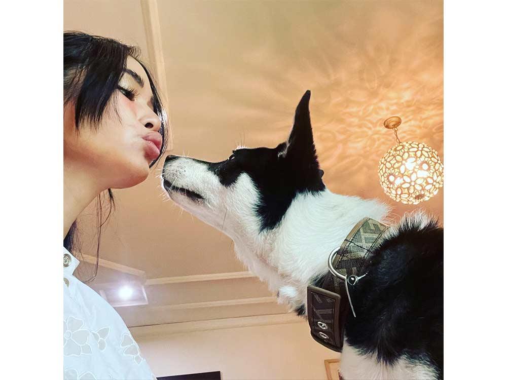 Love of Heart to Panda