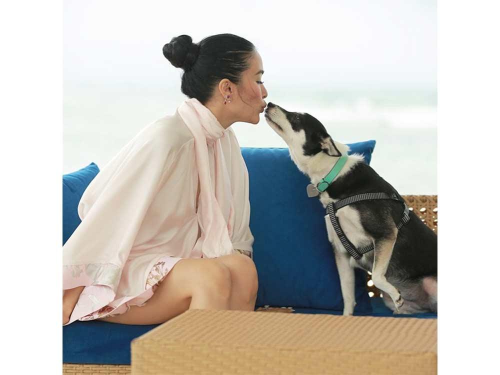 Panda's Instagram account