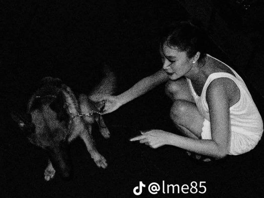 A heart for the animals