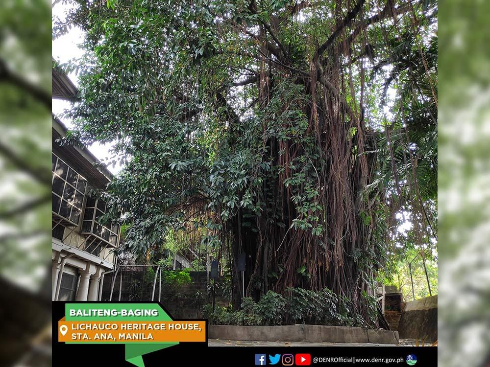 Baliteng-Baging in Manila