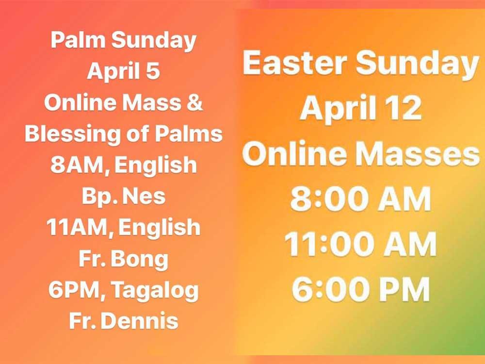 The Immaculate Conception Cathedral of Cubao