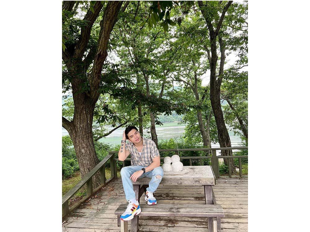 Central Korean Pine Tree Lane