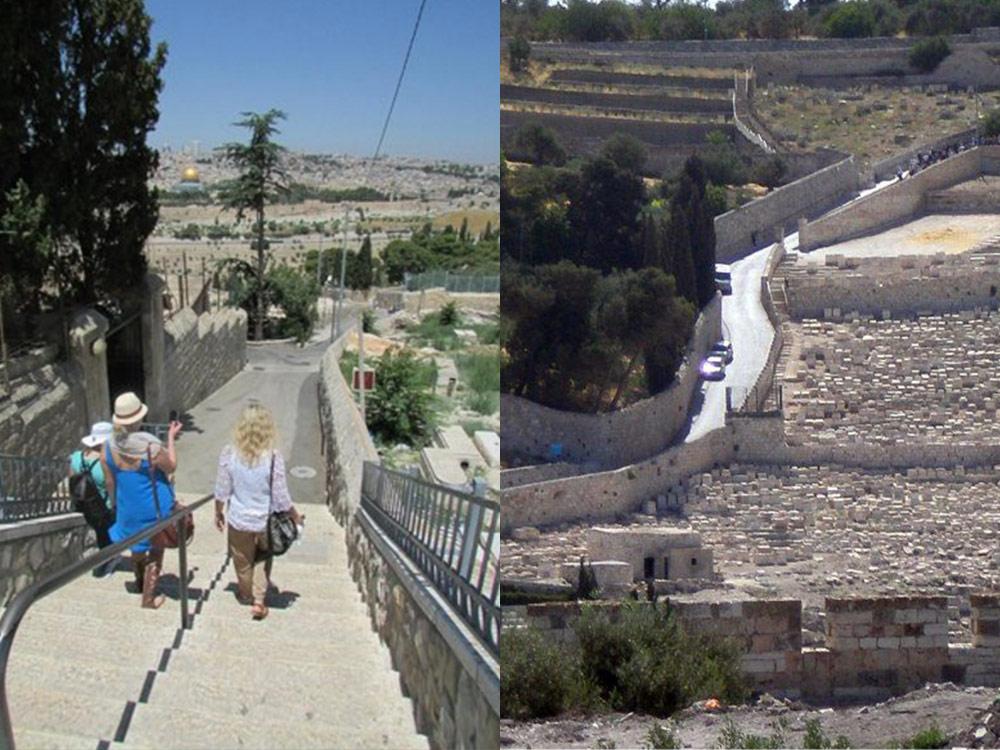 Palm Sunday Road (Jerusalem, Israel)