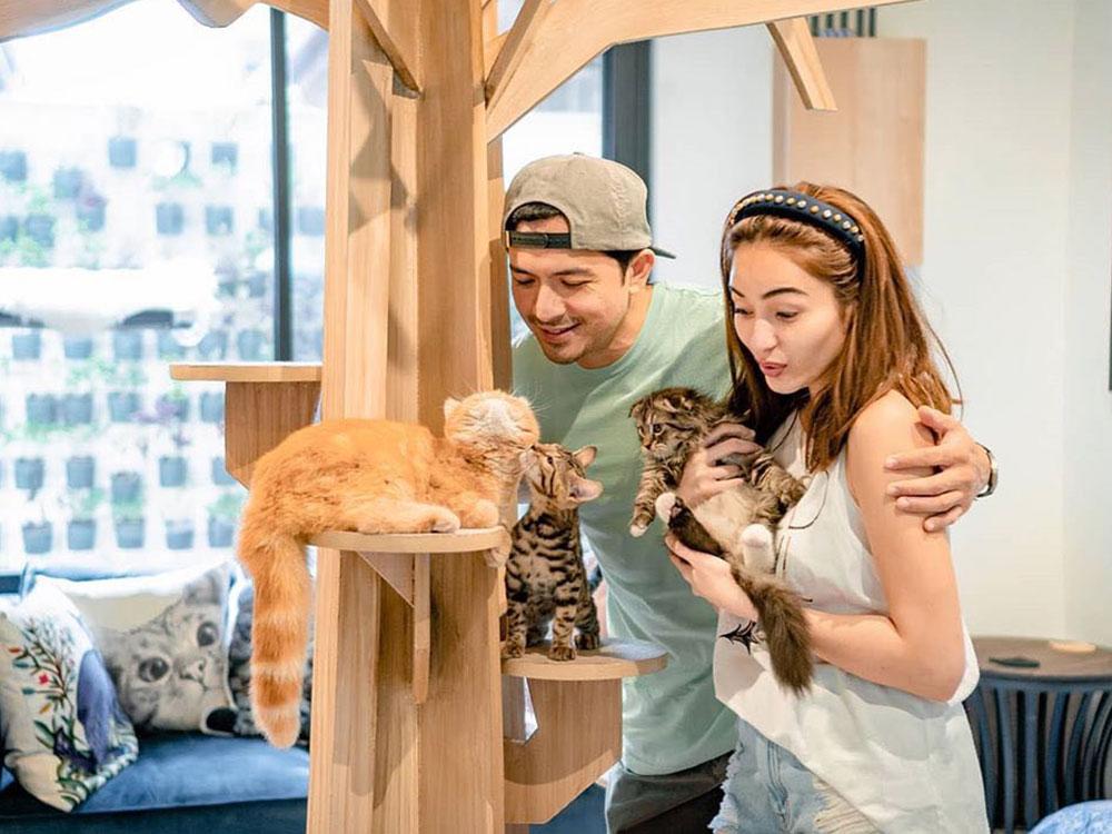 Jennylyn Mercado and Dennis Trillo