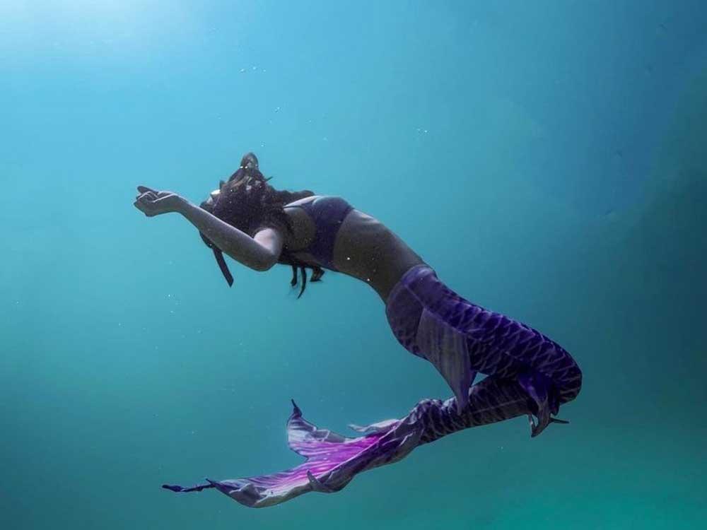 Celebrities and their breathtaking freediving photos | GMA Entertainment