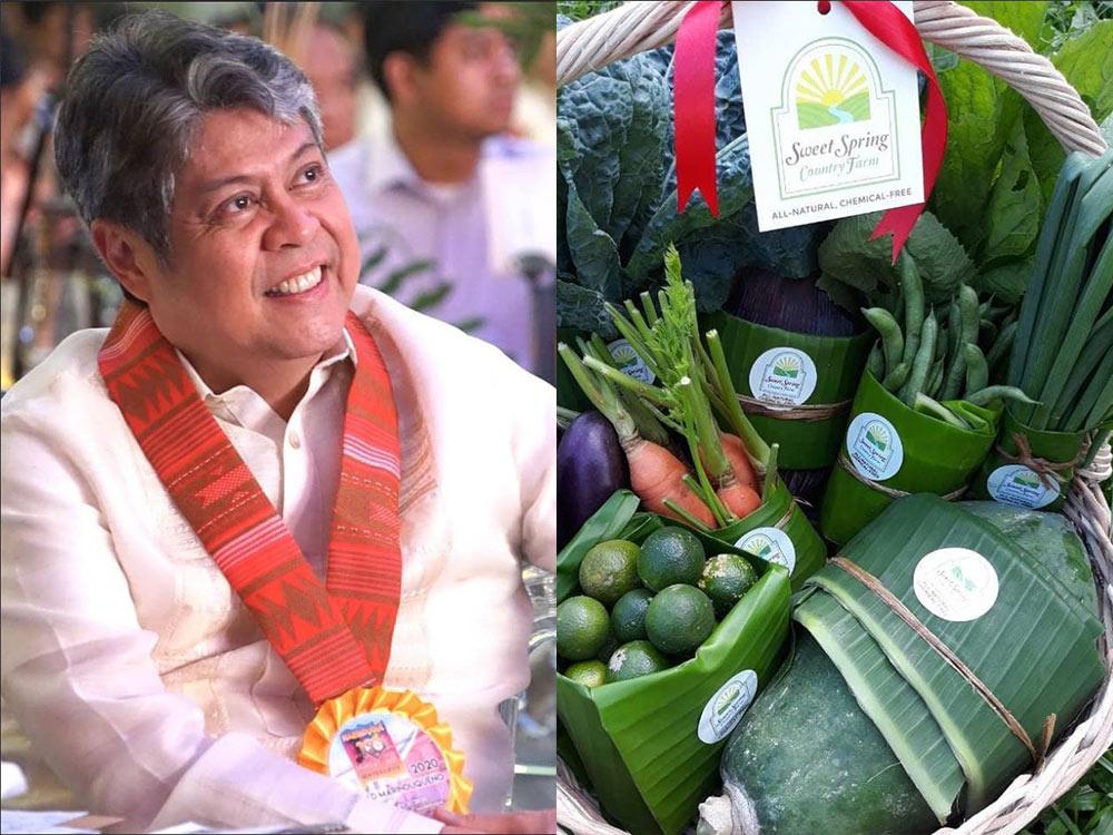 Kiko Pangilinan