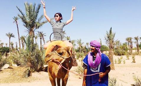 Camel ride