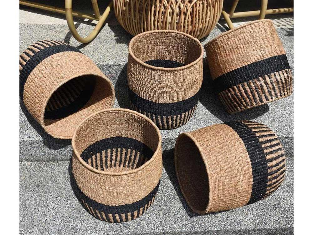 Abaca planters P2,500