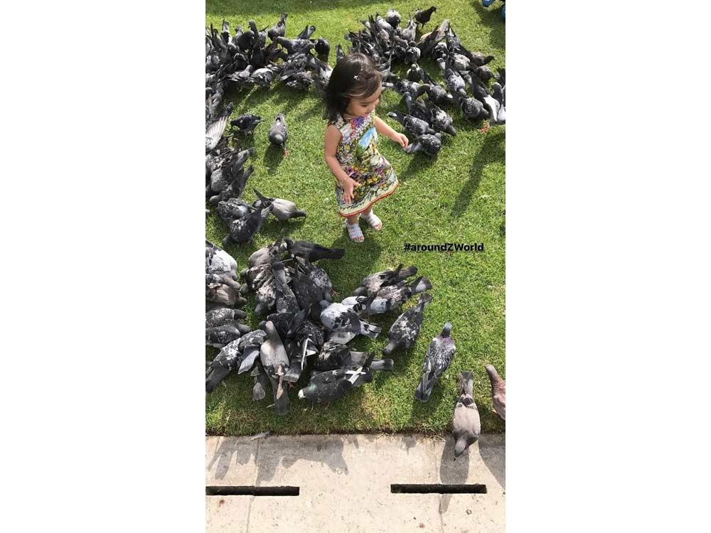 BIRD WHISPERER