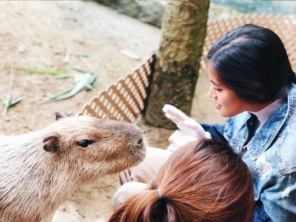 IN PHOTOS: Gabbi Garcia's adventure in Hong Kong Ocean Park | GMA ...