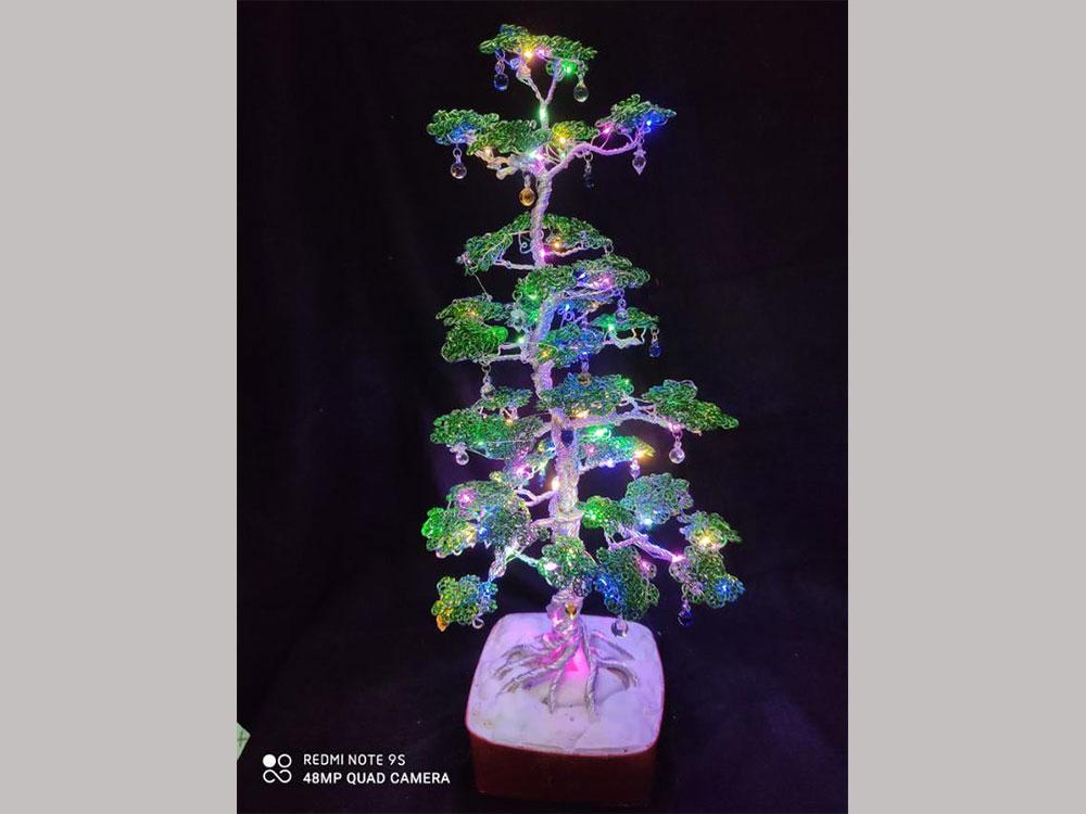 Bonsai Christmas tree