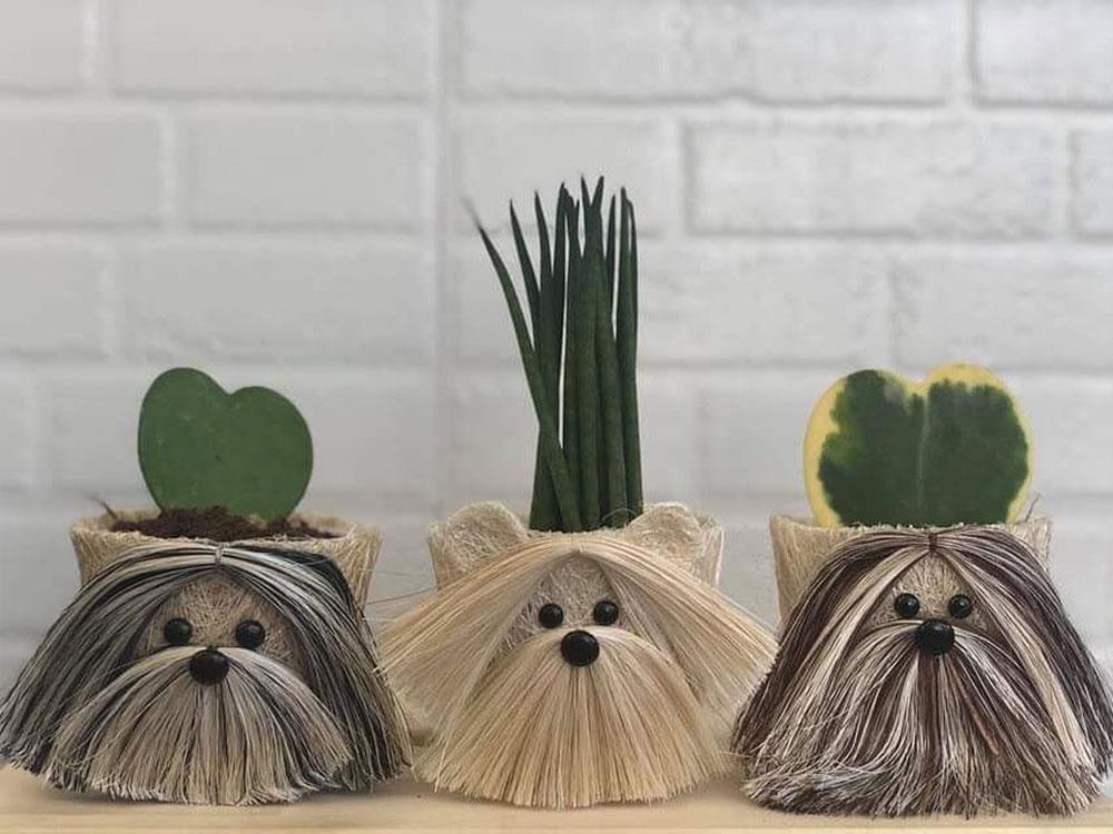 Dog planters