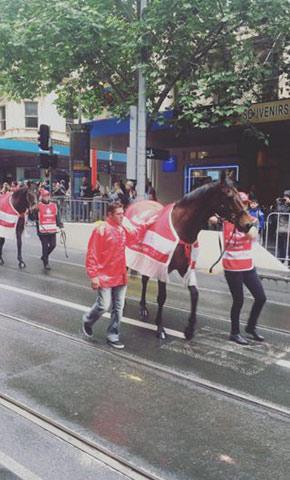 Melbourne Cup