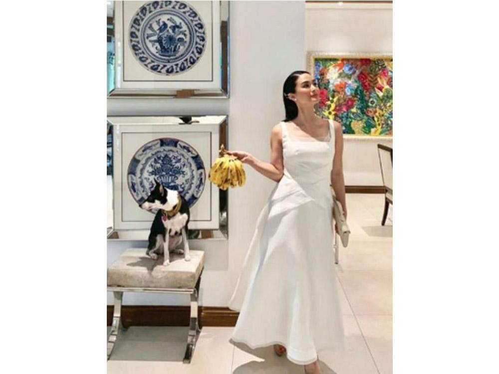 Grocery shopping with Panda