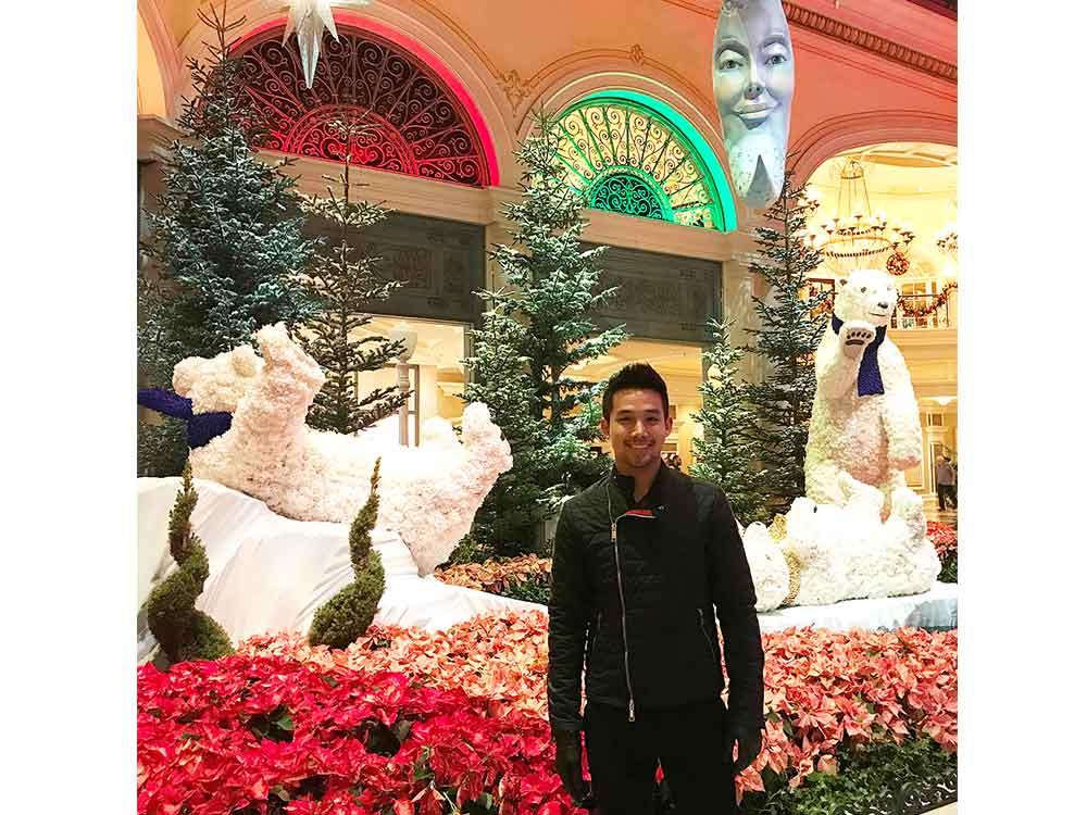 Bellagio's exhibition