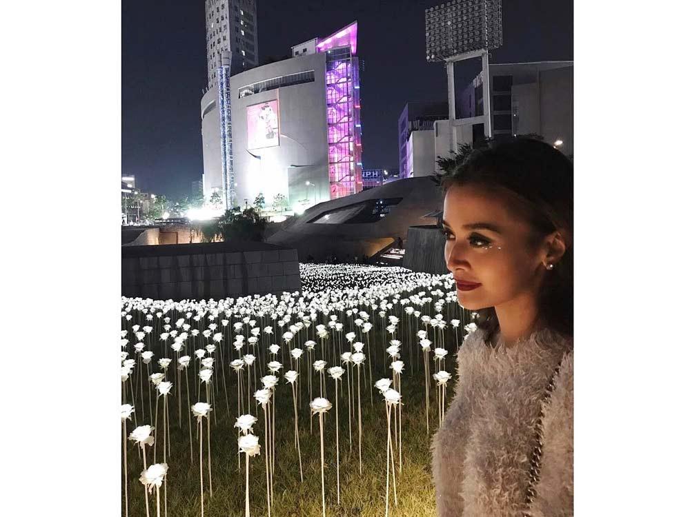 LED Rose Garden