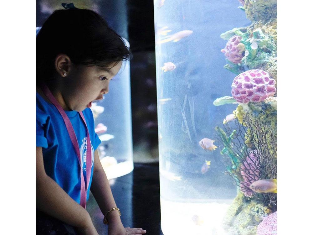 Zia's day out