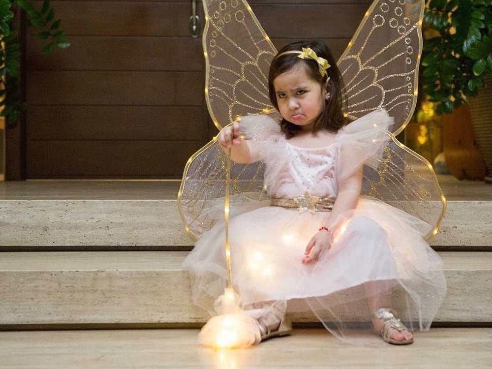 Fairy