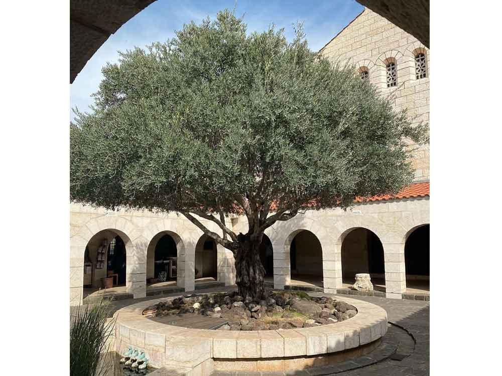 Church of the Multiplication