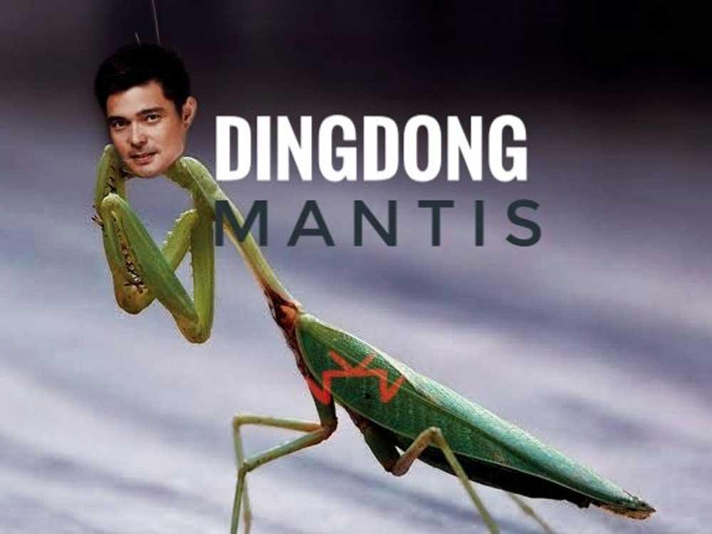 In Photos The Best Dingdong Dantes Memes Gma Entertainment | My XXX Hot ...