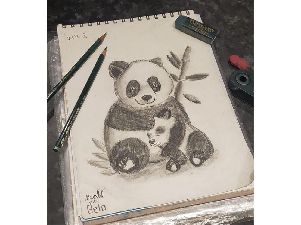 Pandas