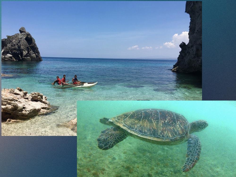 Apo Island (Dauin, Negros Oriental)