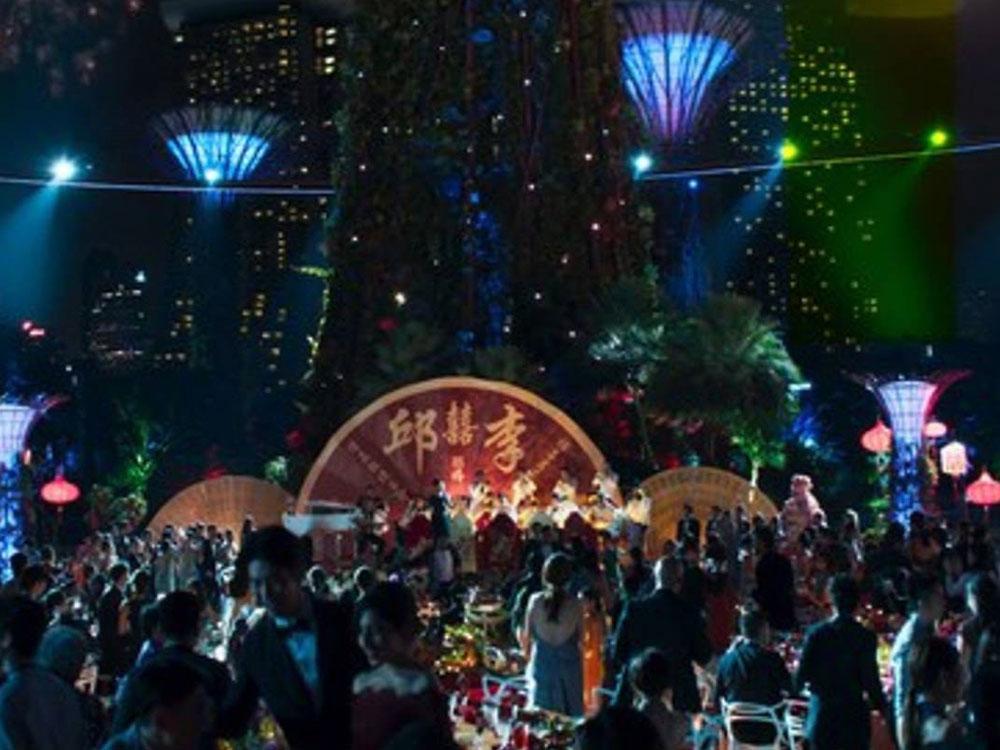 Gardens by the Bay's Supertree Grove