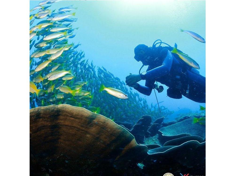 Best Diving Destination: The Philippines, 27th World Travel Awards