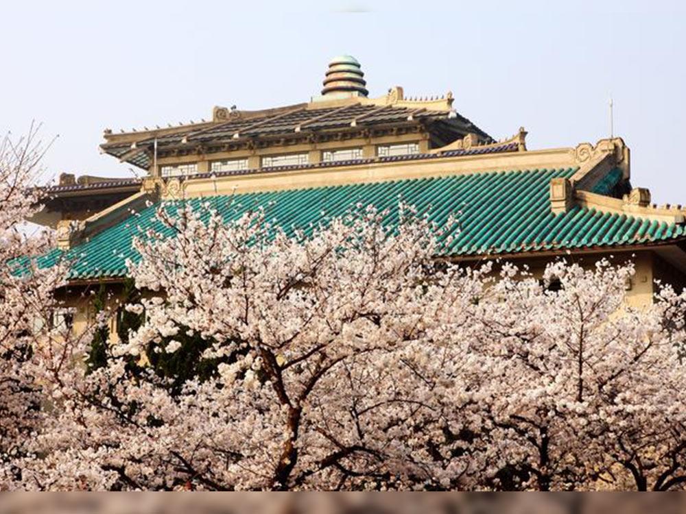 Wuhan University