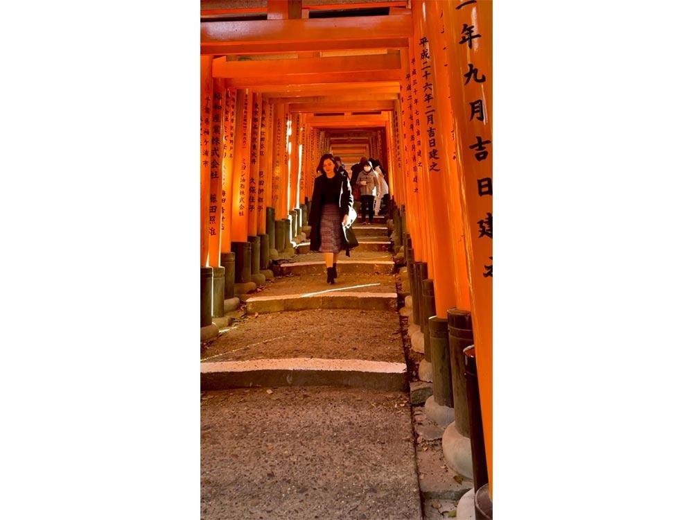 Torii gates