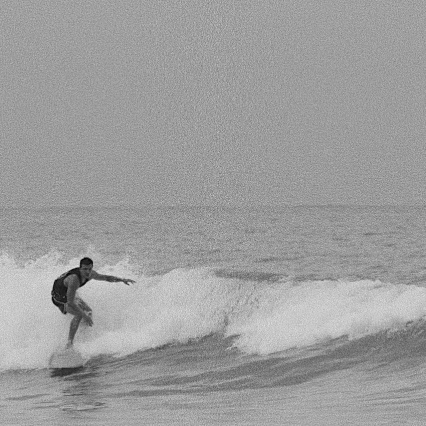 Surf's up!