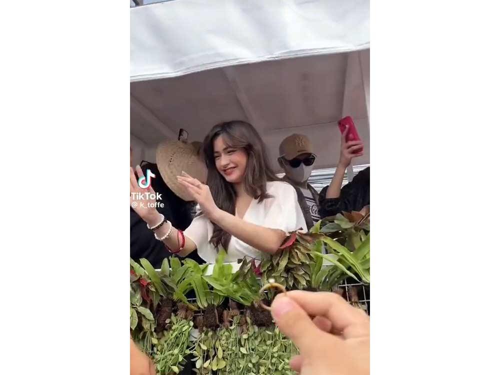 Sana all