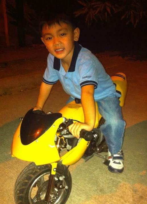 Life's Uncertainties