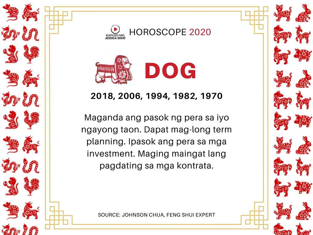 Year of the Dog
