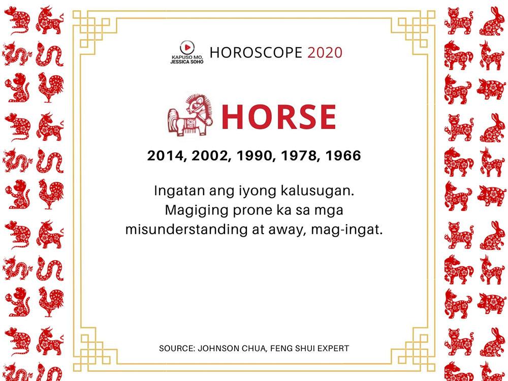 Year of the Horse