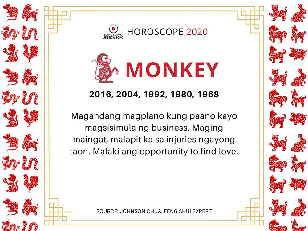 Year of the Monkey