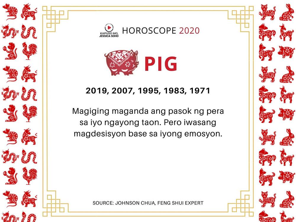 Year of the Pig