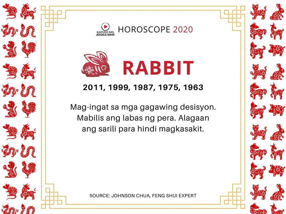 Year of the Rabbit