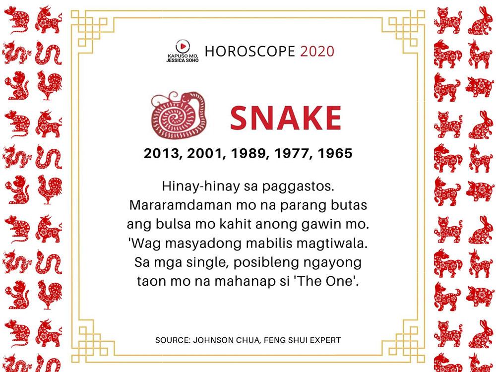 Year of the Snake