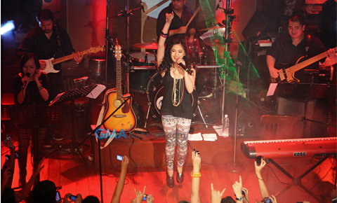 Kapuso Highlights of 2012