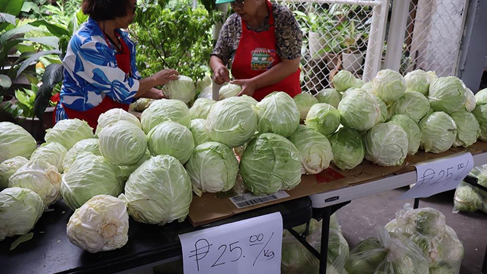 Helping the farmers